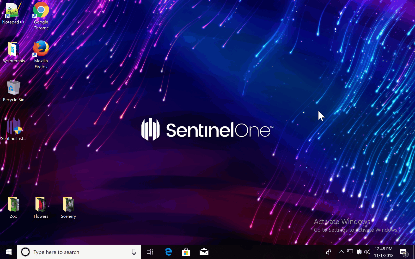 sentinelone endpoint protection reviews